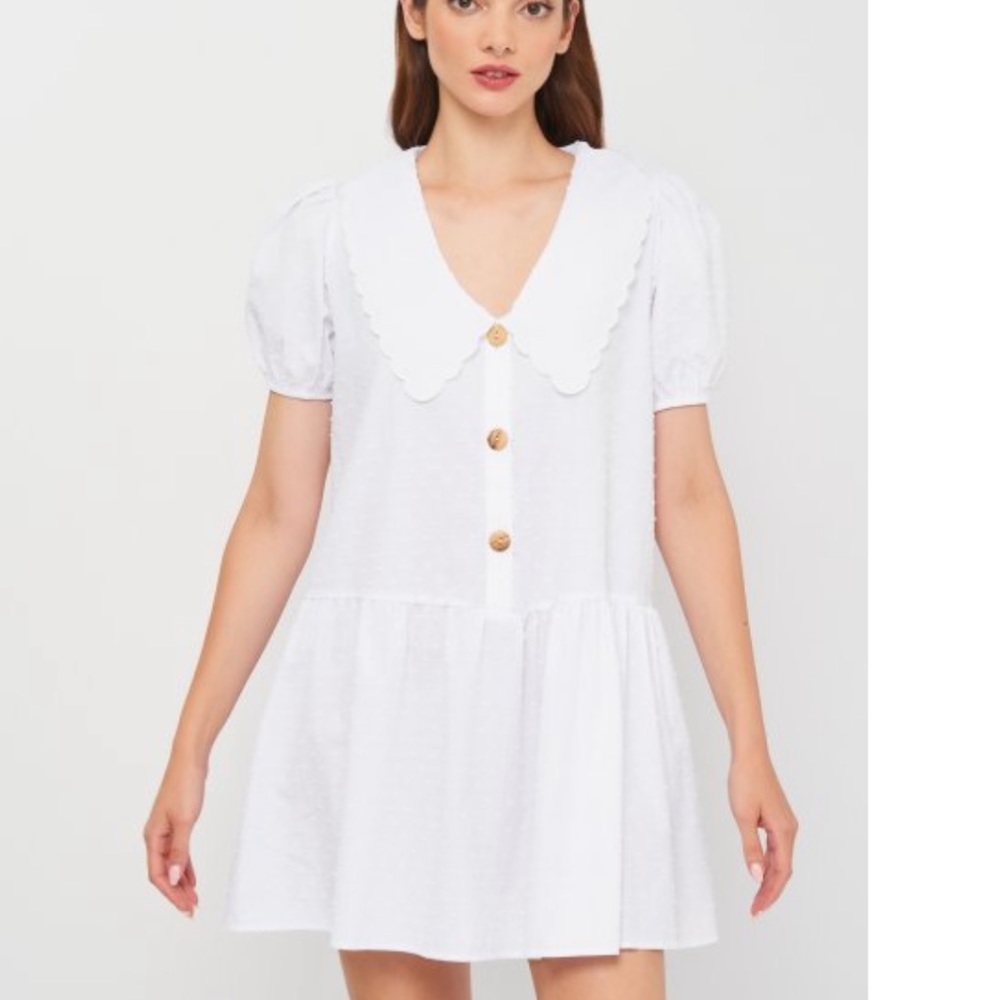 Zara Dotted Mesh Mini Dress